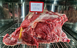 Meat 150 - kompaktowa szafa do dojrzewania, sezonowania wołowiny
